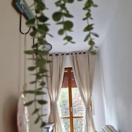 Adamello Apartamento *